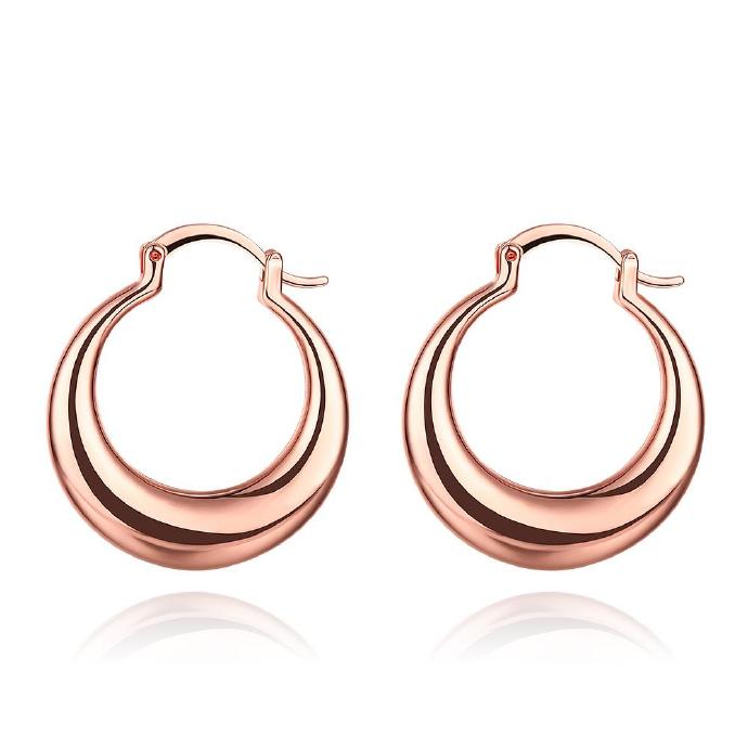 Jenny Jewelry E030-b 18k Gold Plating High Quality Ziccon Fashion Earring