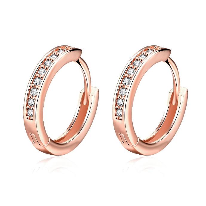 Jenny Jewelry E039-b 18k Gold Plating High Quality Ziccon Fashion Earring