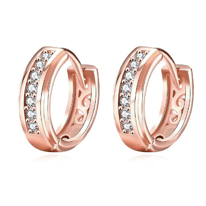 Jenny Jewelry E041-b 18k Gold Plating High Quality Ziccon Fashion Earring