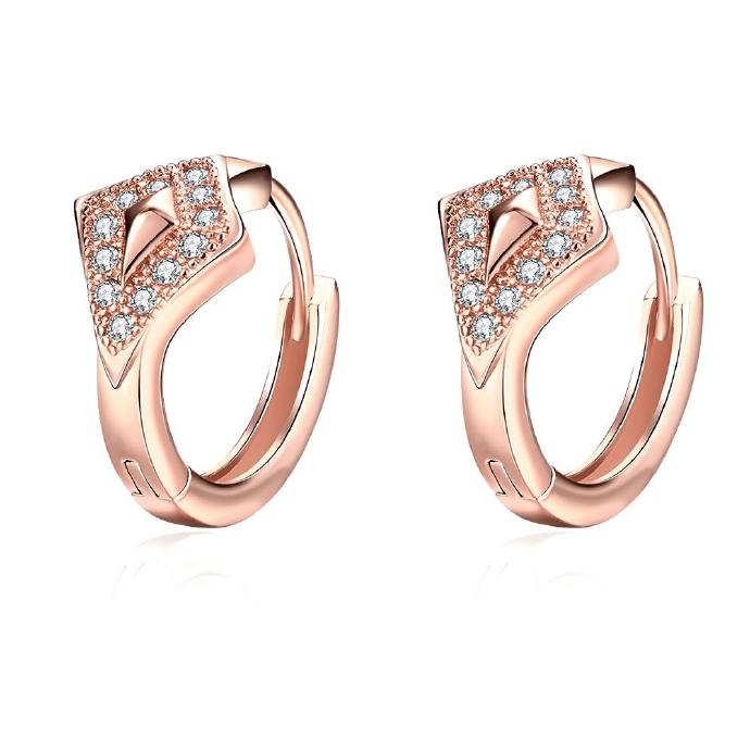 Jenny Jewelry E046-b 18k Gold Plating High Quality Ziccon Fashion Earring