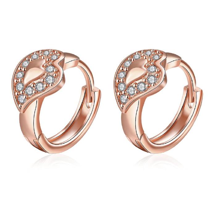 Jenny Jewelry E048-b 18k Gold Plating High Quality Ziccon Fashion Earring