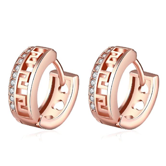 Jenny Jewelry E052-b 18k Gold Plating High Quality Ziccon Fashion Earring